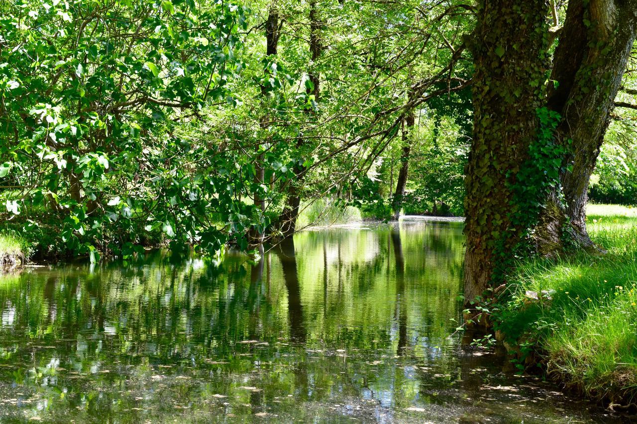 Bed and Breakfast Manoir De Plaisance Benon Esterno foto